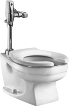 American Standard Round Bowl Toilet, Less Flush Valve