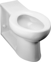 Kohler® Anglesey™ Floor-Mount Rear Spud Toilet Bowl with Integral Seat